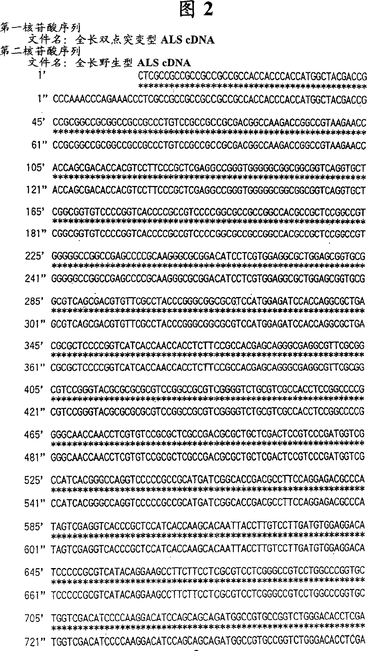 Gene encoding acetolactic acid sy nthase gene