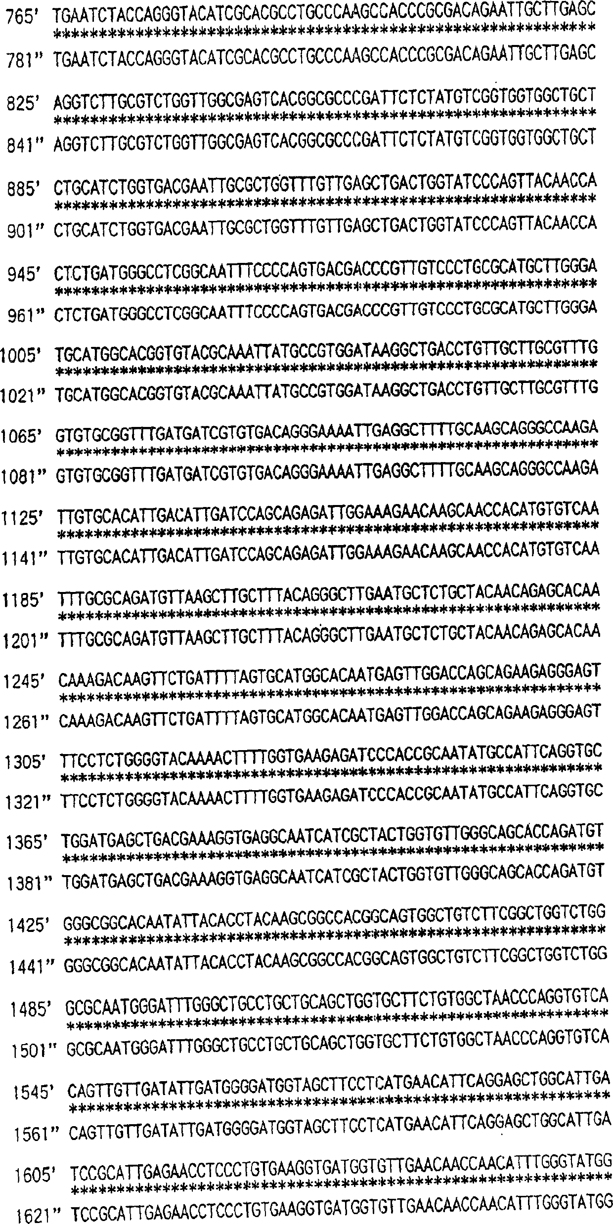 Gene encoding acetolactic acid sy nthase gene