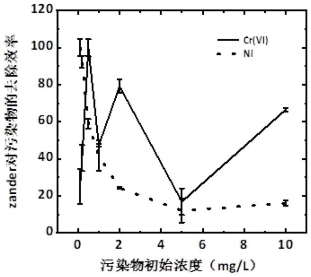 Method for removing heavy metals in water by using adsorption agent Orient Green