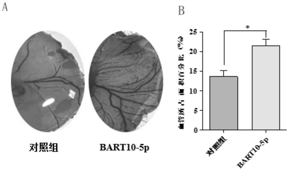 Application of Epstein-Barr virus mir-bart10-5p inhibitor