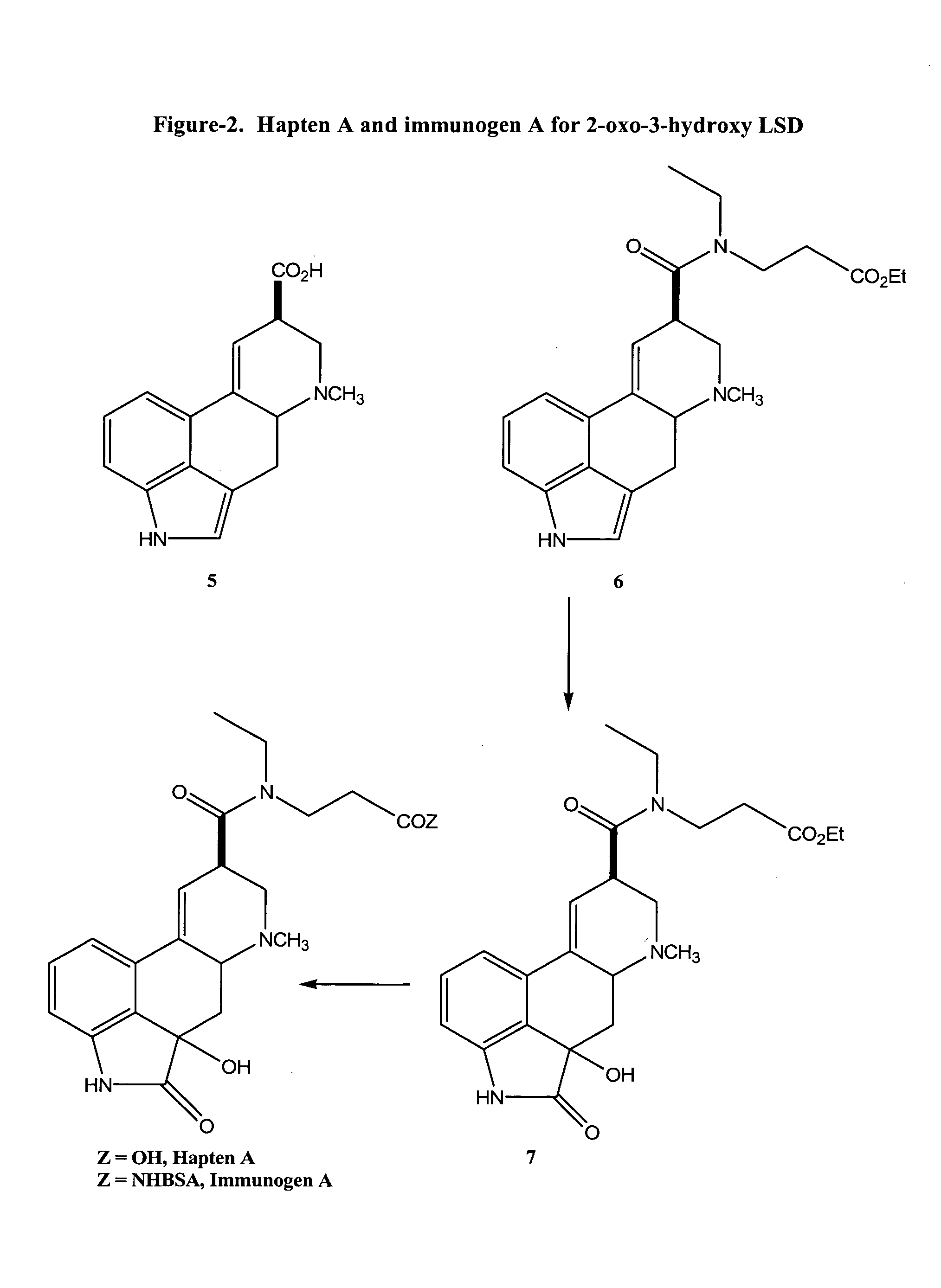 Haptens, immunogens, antibodies and conjugates to 2-oxo-3-hydroxy-LSD