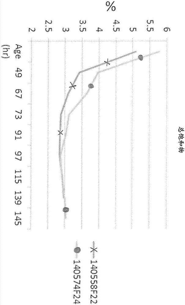 Oleaginous microalgae having an LPAAT ablation