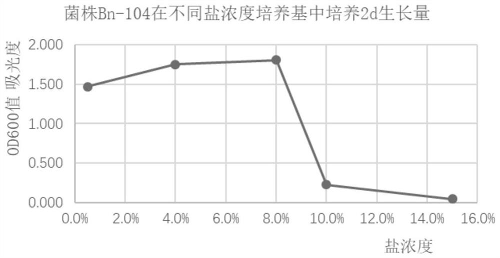 A strain of nitrate-reducing bacteria, its culture method and application