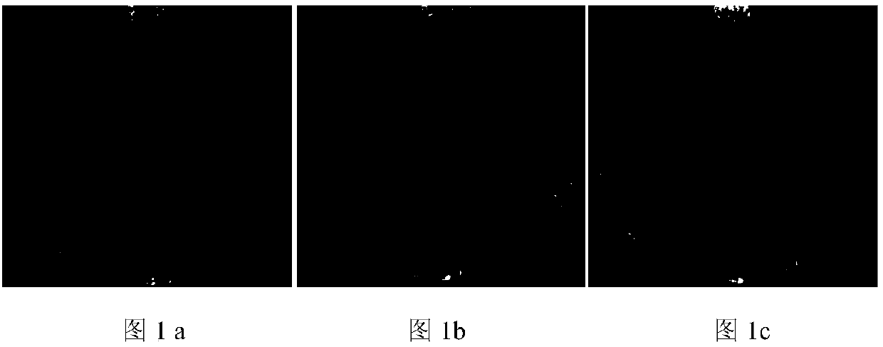 Method for determining optimum preventive maintenance opportunity of asphalt pavement