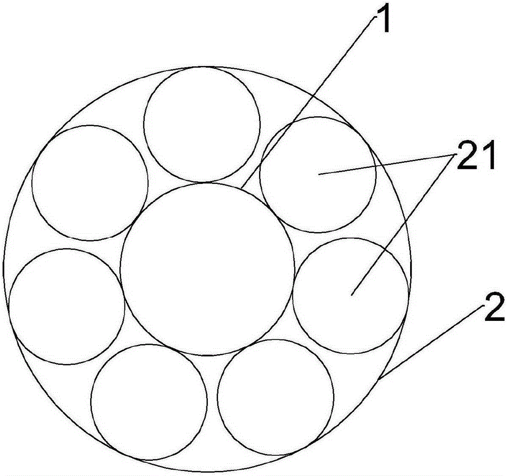 Dust removal device for carpet