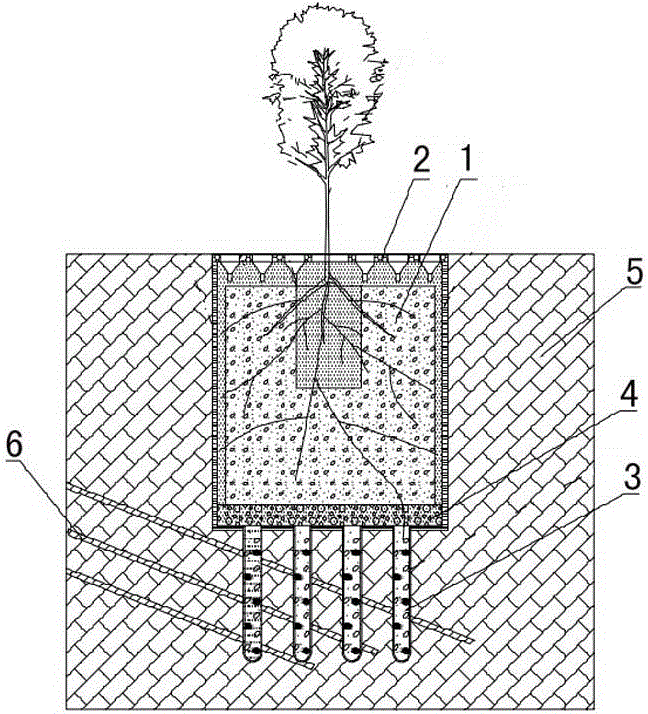 Device for planting arbors in rocky desertification regions and preparation and planting method thereof