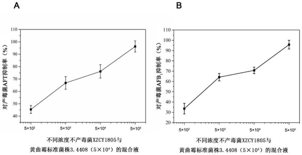 Non-toxic aspergillus flavus XZCY1805 and application thereof