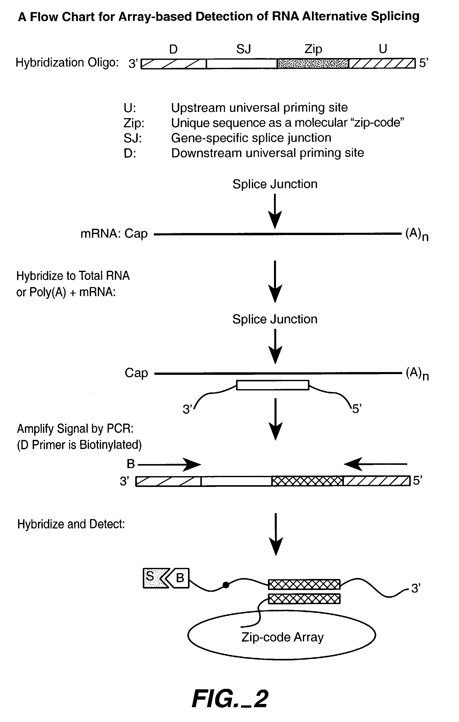 Multiplexed methylation detection methods