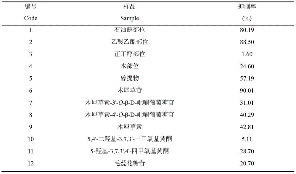 Callicarpa nudiflora extract with anti-inflammatory effect