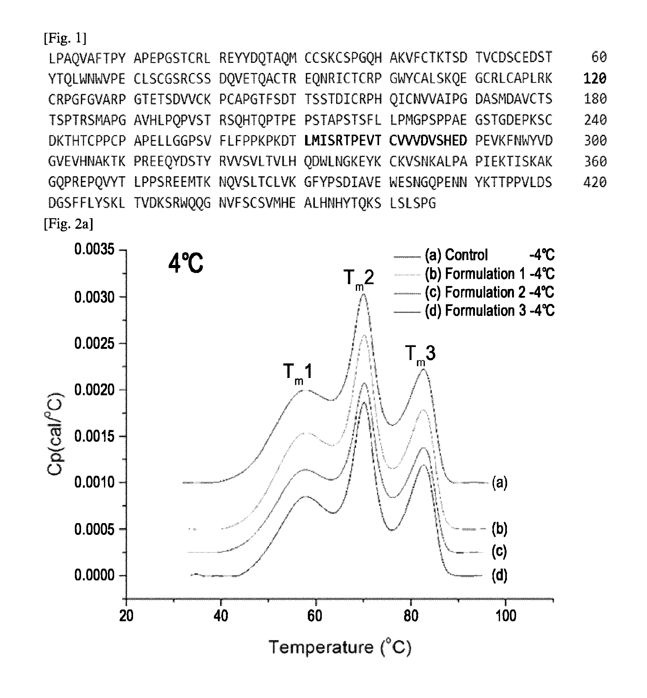 Liquid formulation of a fusion protein comprising tnfr and fc region