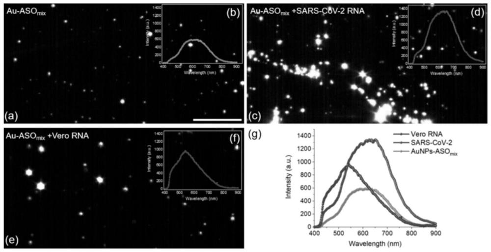 A method for detection and identification of covid-19 based on microscopic hyperspectral