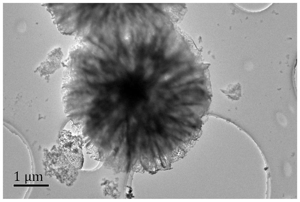 A kind of alkaline solution hydrogen evolution electrocatalyst nivru ternary alloy and its preparation method and application