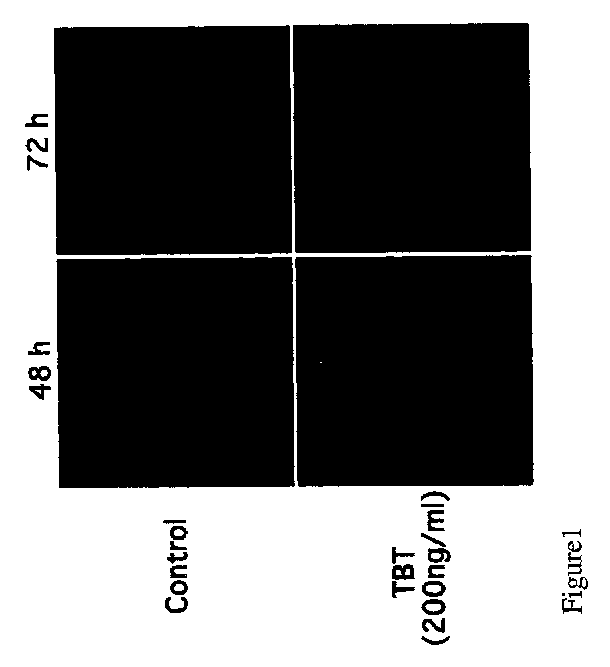 Method for identifying endocrine disruptors and kit for carrying out the same