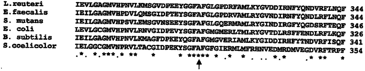 A method for establishing a Lactobacillus reuteri non-resistance marker gene integration system and its application