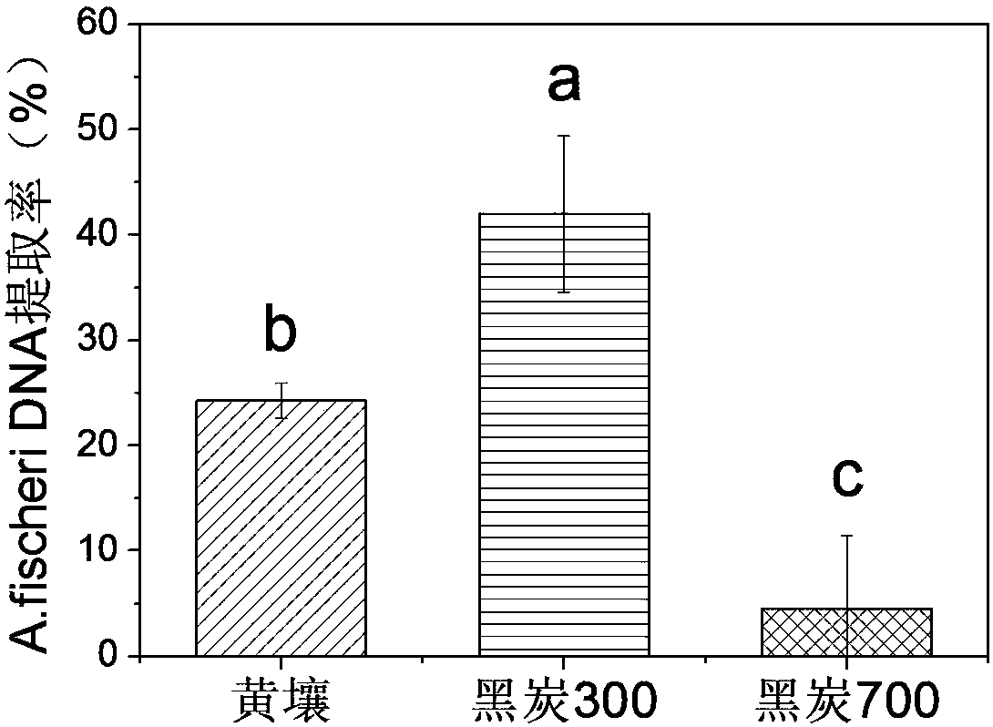 Method for determining DNA extraction rate of soil sample