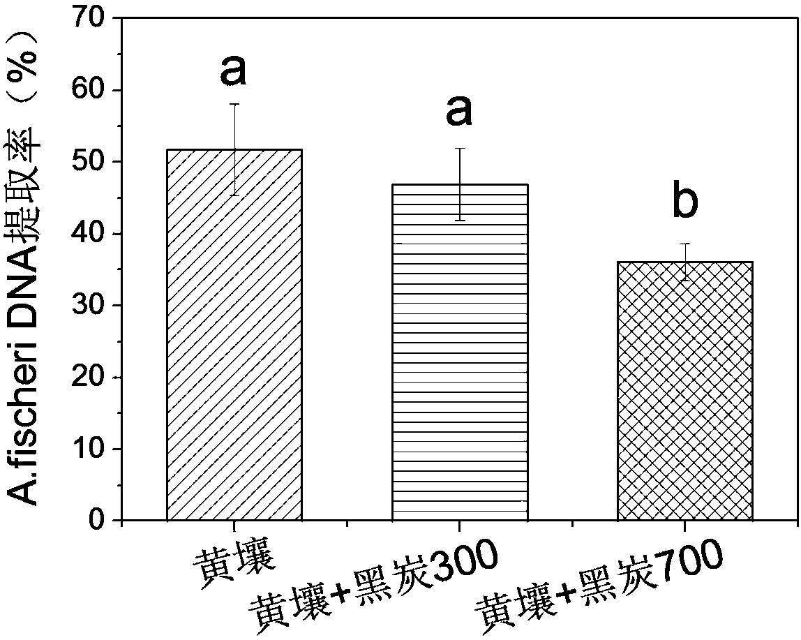 Method for determining DNA extraction rate of soil sample