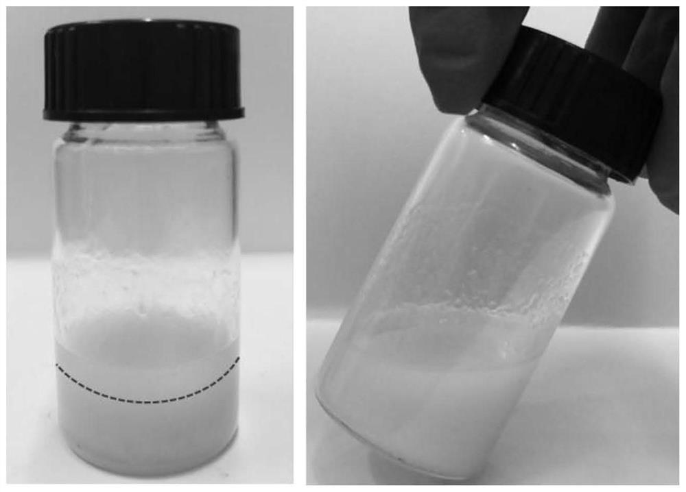 A nitric oxide releasing ointment and its preparation method and application
