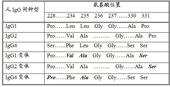 Long-acting recombinant human chorionic gonadotropin fusion protein