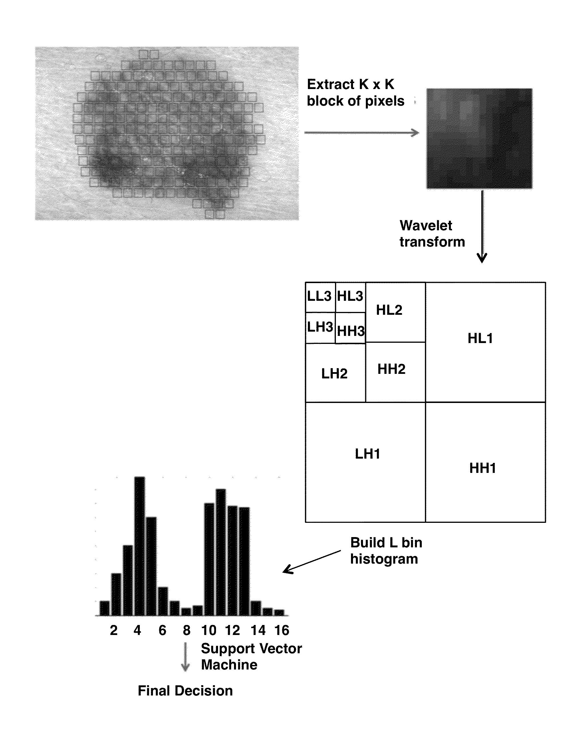 Methods and Software for Screening and Diagnosing Skin Lesions and Plant Diseases