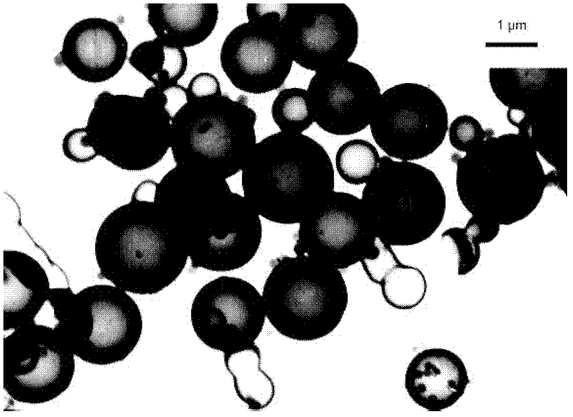 Preparation method of polysilsesquioxane hollow microspheres