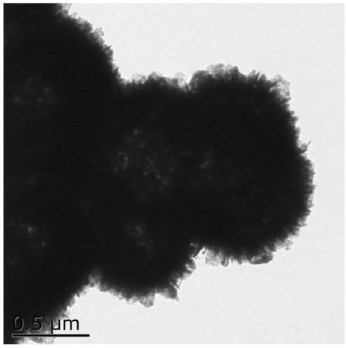 Preparation method of cobalt molybdate hollow microsphere electrocatalyst