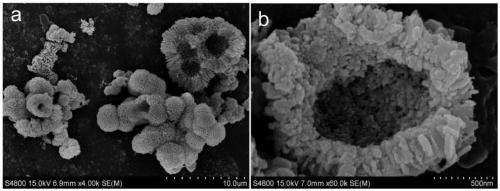 Preparation method of cobalt molybdate hollow microsphere electrocatalyst