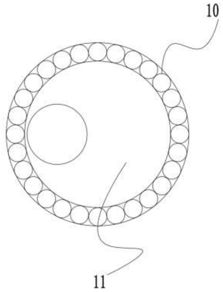 A cross-sectional rock formation sampling device for studying biofossil belts