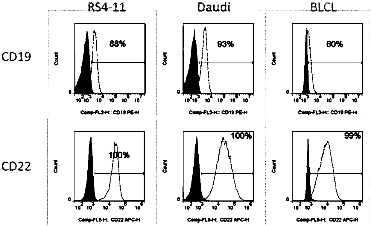 Dual chimeric antigen receptor gene modified immune cell based on CD19 and CD22 and application thereof