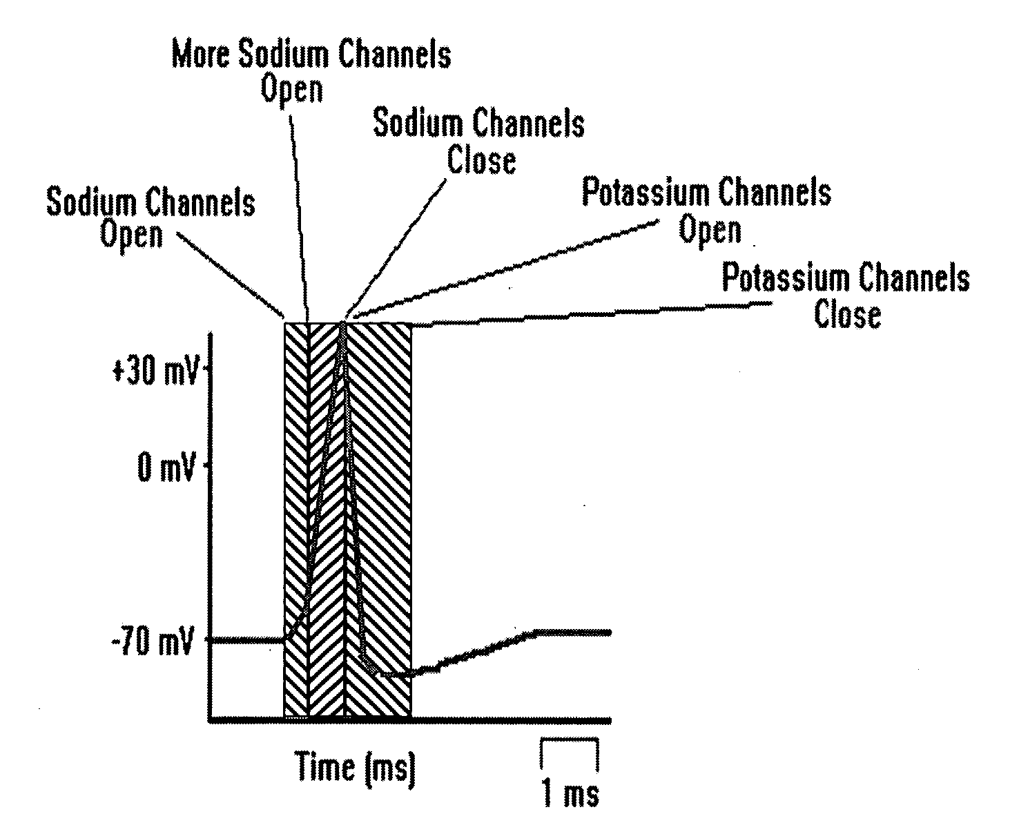 Apparatus and method for quick pain suppression