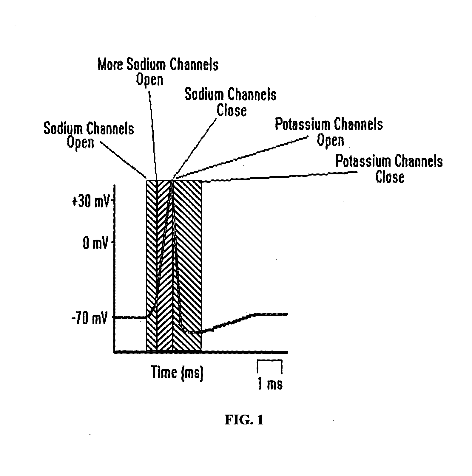 Apparatus and method for quick pain suppression