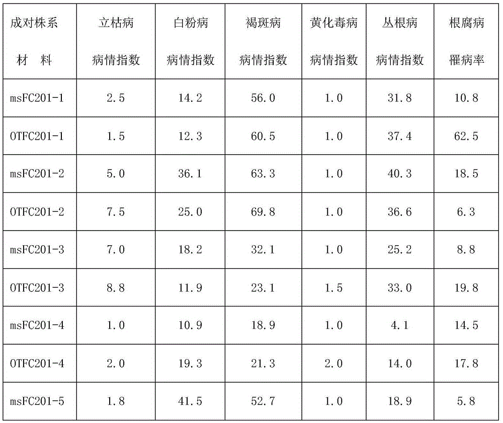 A kind of breeding method of sweet beetroot high-resistance paired sterile line