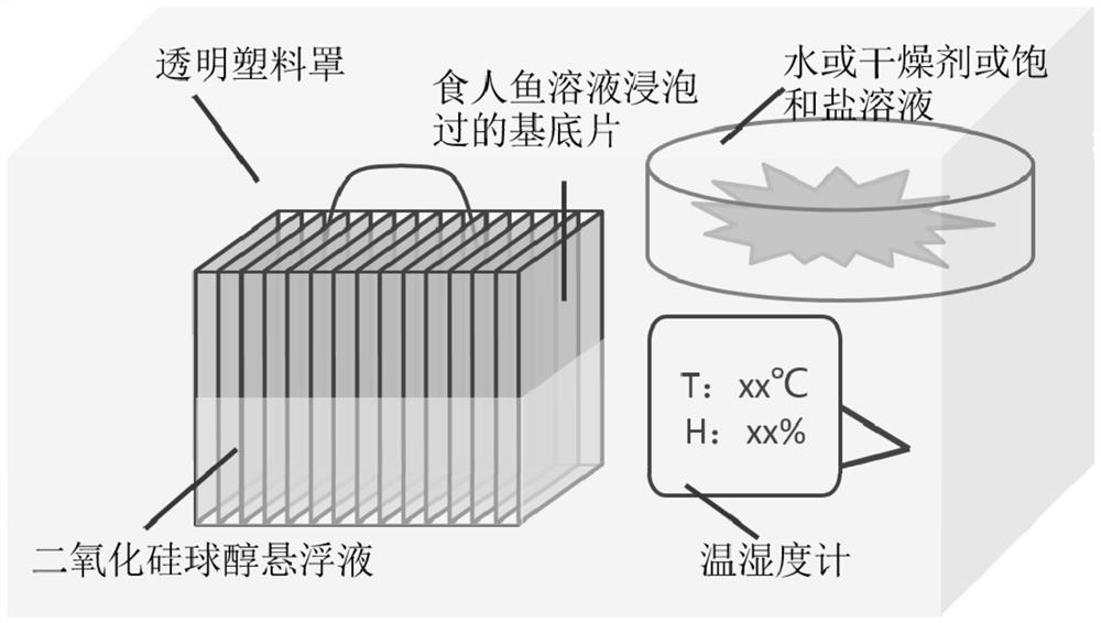 Preparation method for controlling thickness of colloidal crystal film by adjusting humidity