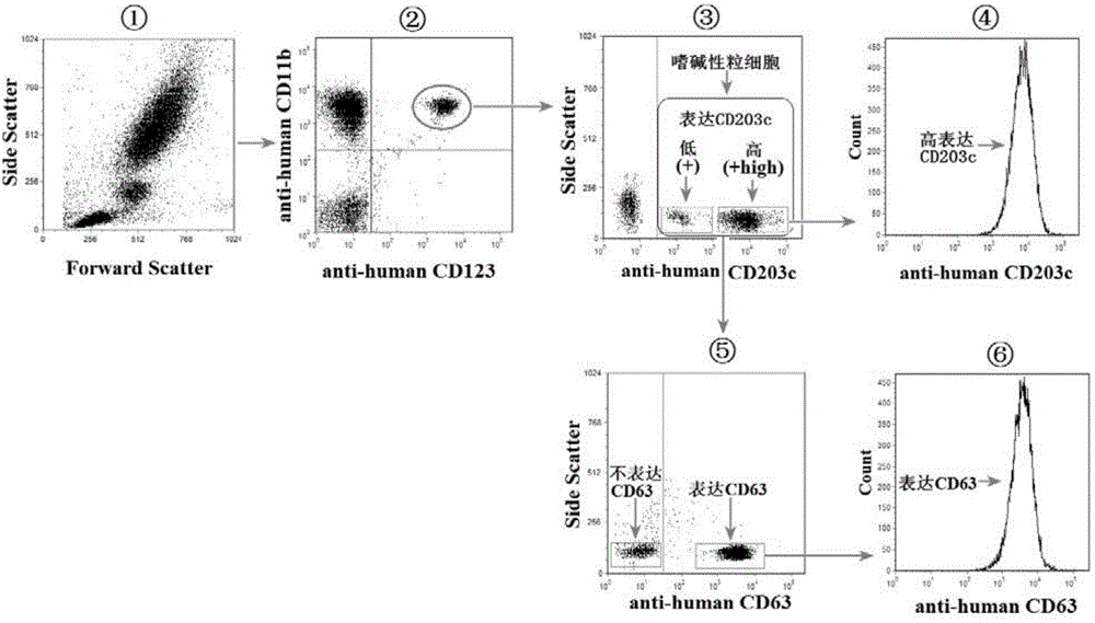 Kit for detecting basophil activation and using method of kit