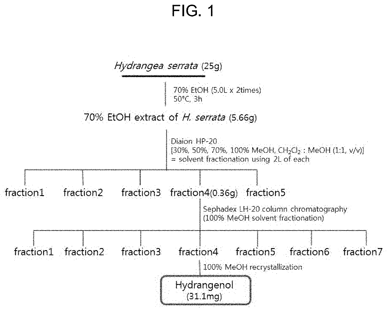 Composition for preventing or improving uv-induced skin damage using hydroangenol as active ingredient