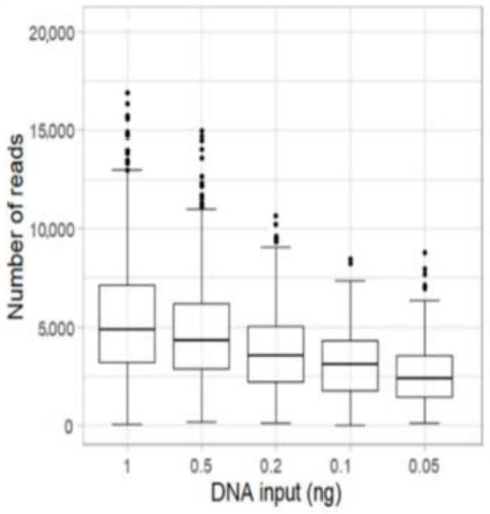 NGS-based joint detection system for genetic markers STR and SNP and detection method