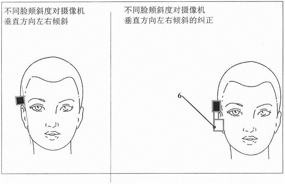 Head mounted multimedia collection device and system