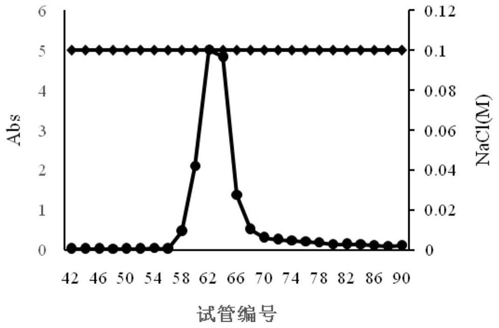 Extraction, separation and purification method of red ginseng polysaccharide