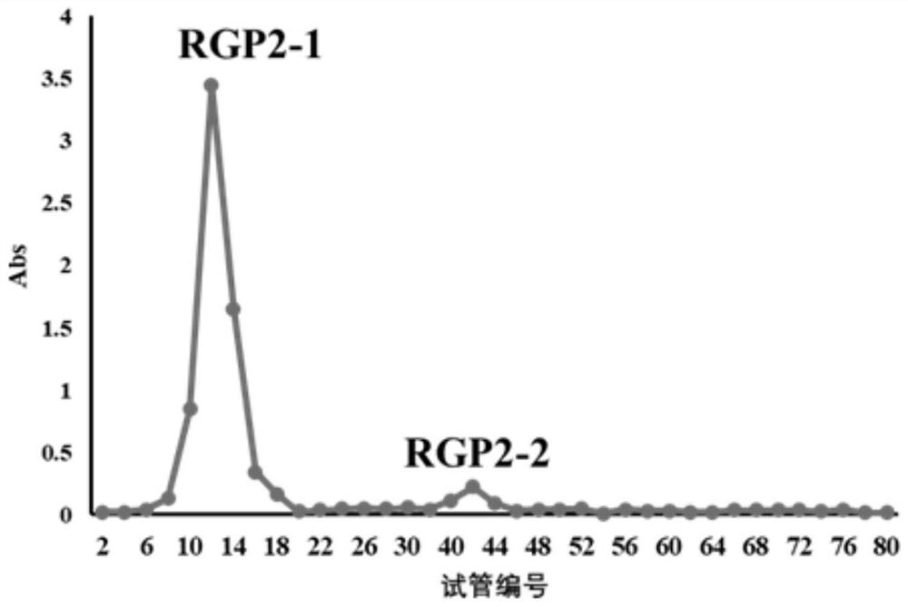 Extraction, separation and purification method of red ginseng polysaccharide