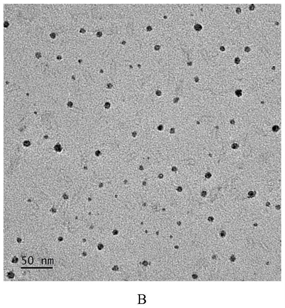 Composite nano material with calcium peroxide coated with silicon dioxide as well as preparation method and application thereof
