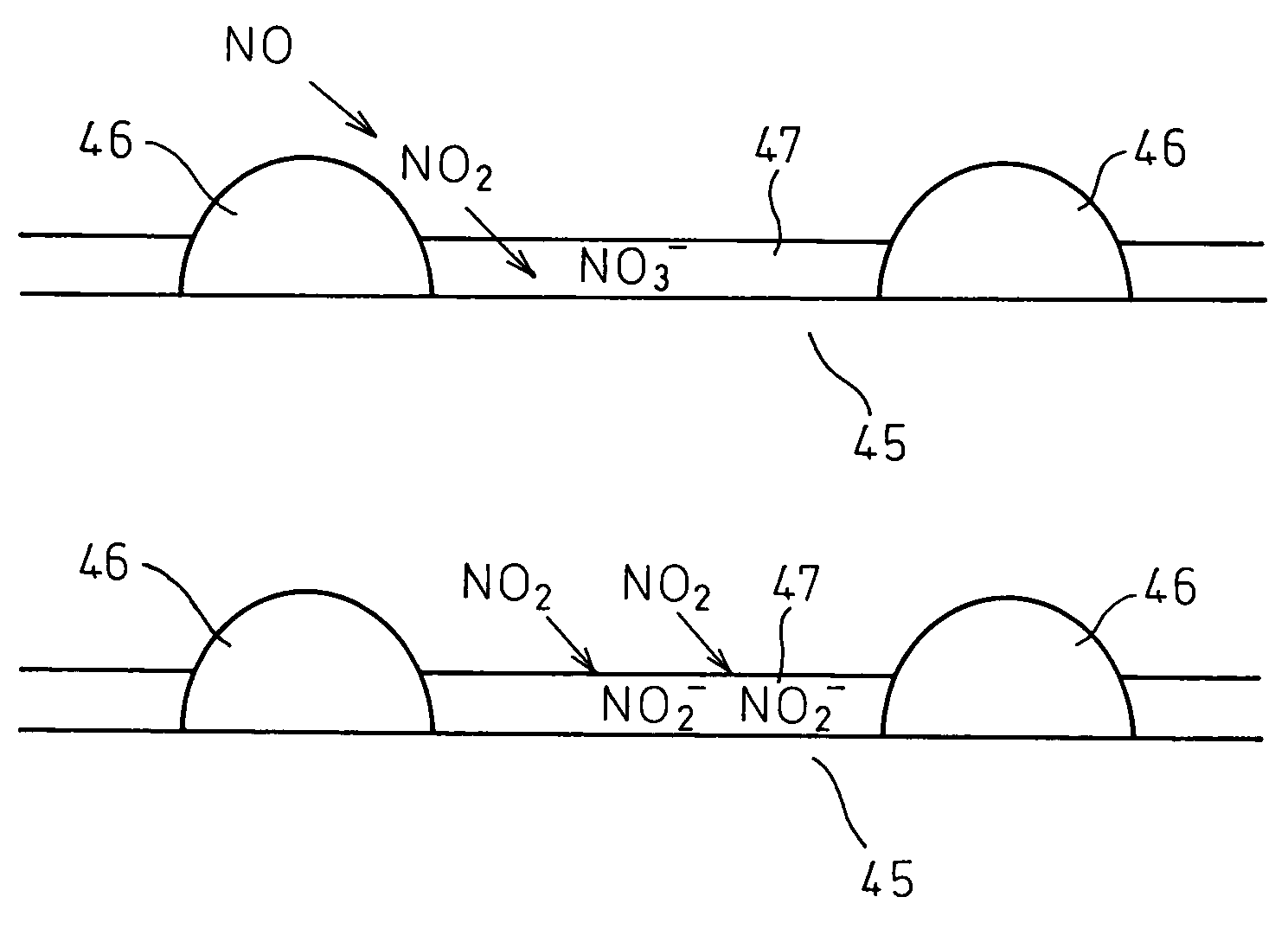 Exhaust purification device and exhaust purification method of internal combustion engine