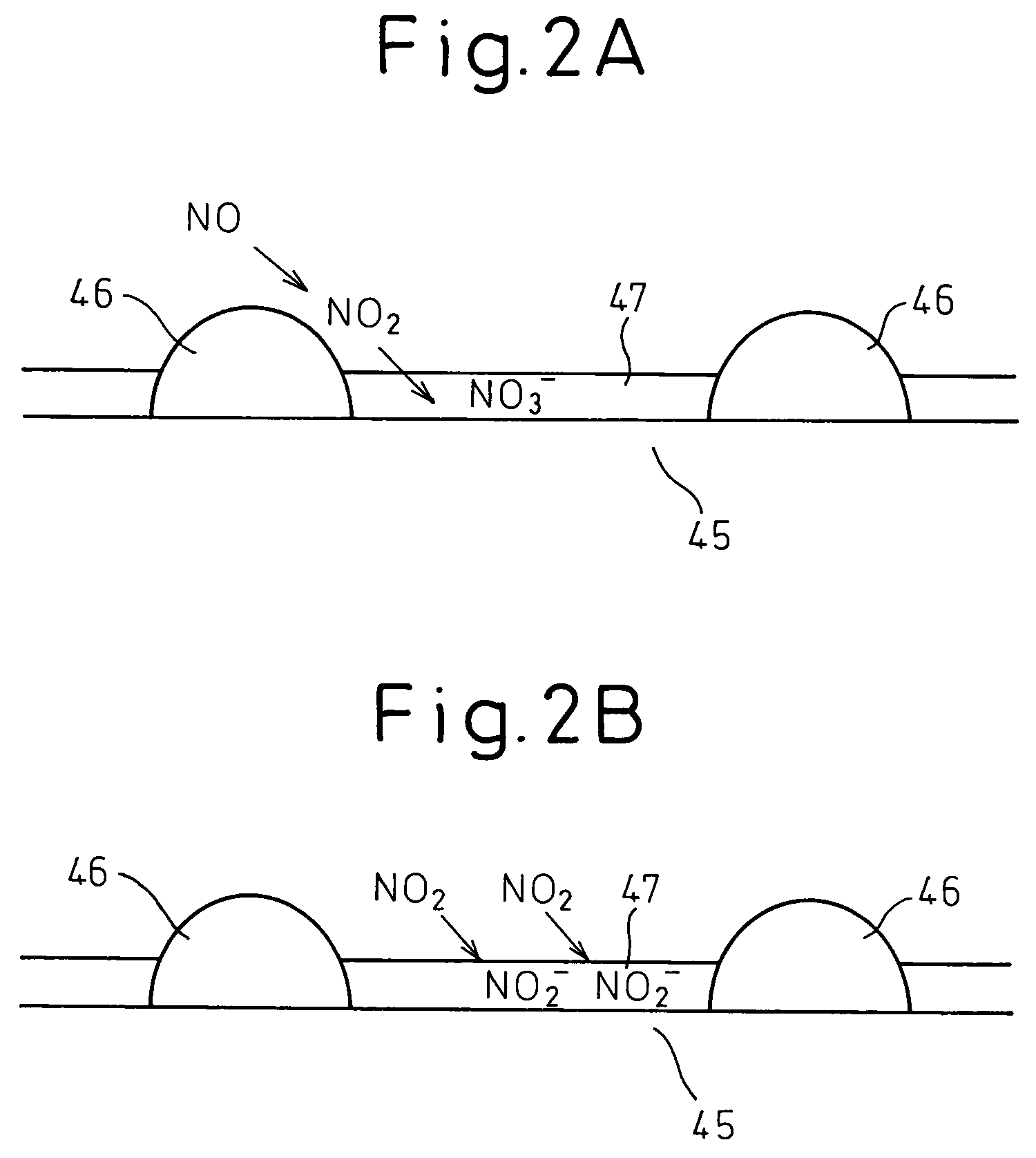 Exhaust purification device and exhaust purification method of internal combustion engine