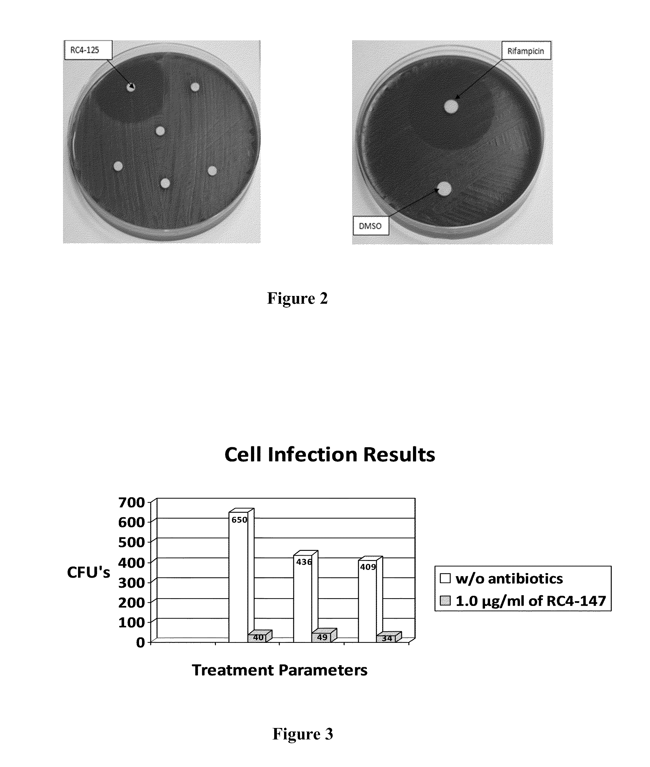 Activity of new N-acylated ciprofloxacin derivatives against faculative intracellular bacteria