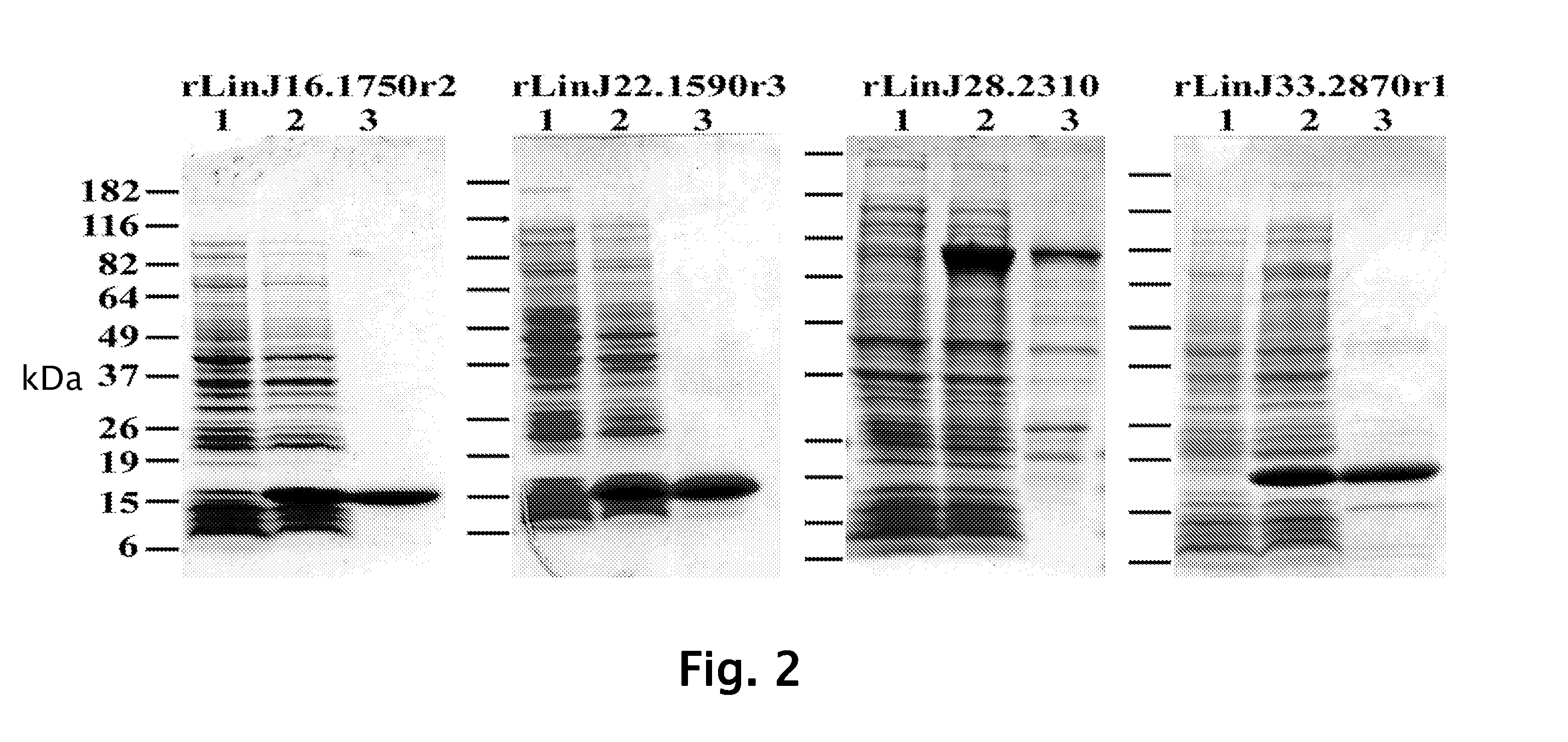 Compounds and Methods for Diagnosis and Treatment of Leishmaniasis