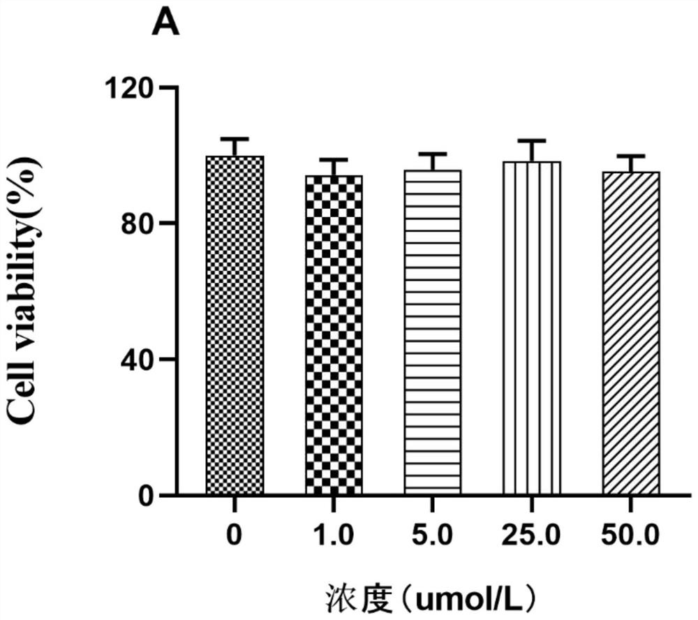 5-hydroxy-7-(4-hydroxy-3-methoxyphenyl) 1-phenyl-3-heptanone separated from galangal and application of 5-hydroxy-7-(4-hydroxy-3-methoxyphenyl) 1-phenyl-3-heptanone