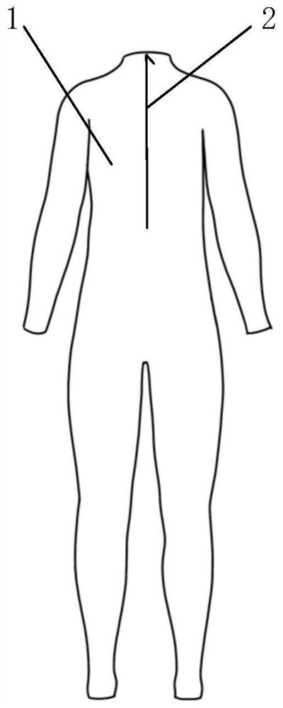 Muscle positioning clothes made by using systematic anatomical map and muscle positioning method