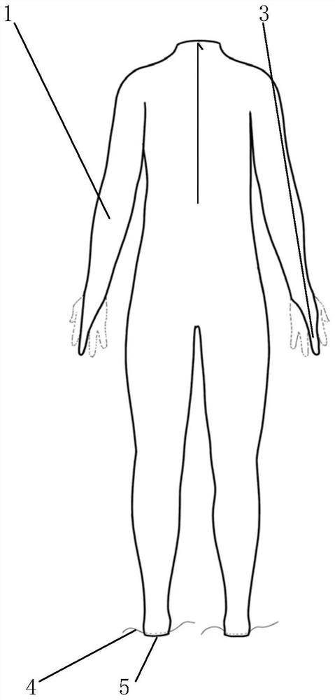 Muscle positioning clothes made by using systematic anatomical map and muscle positioning method