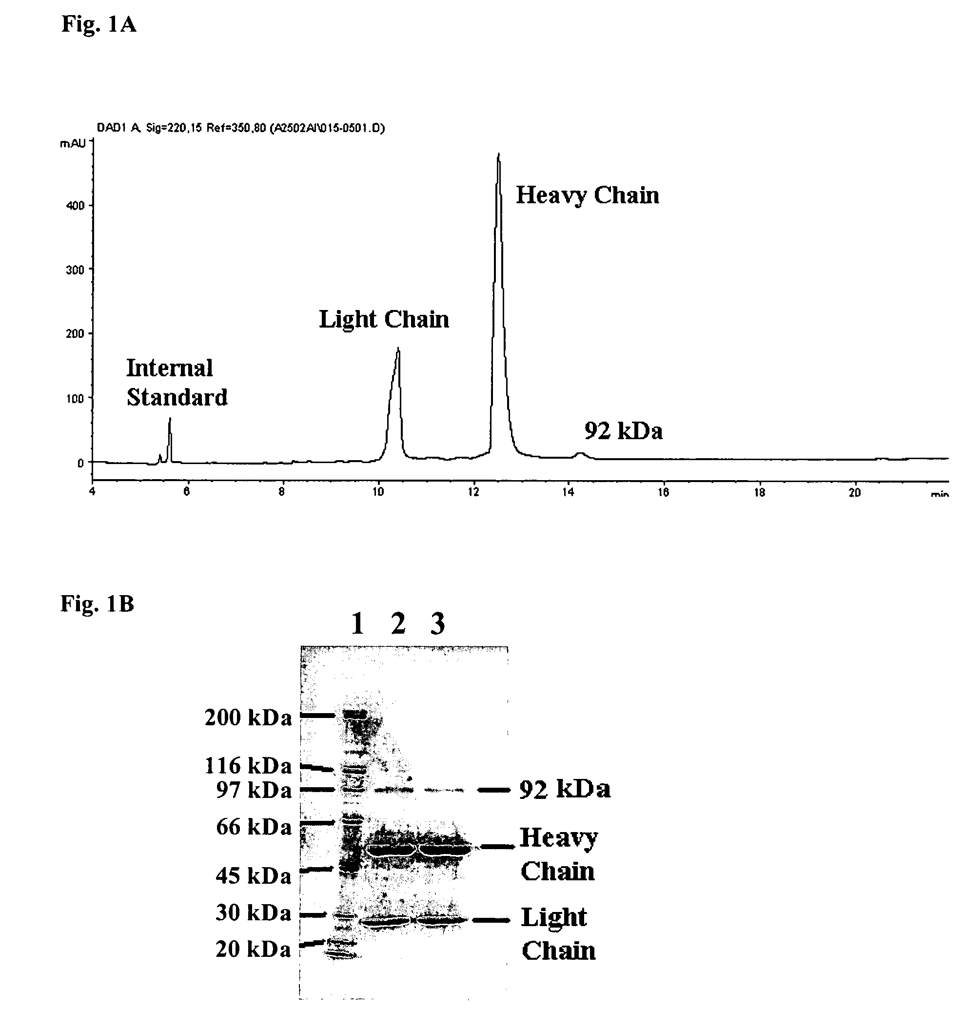 Macromolecules comprising a thioether cross-link