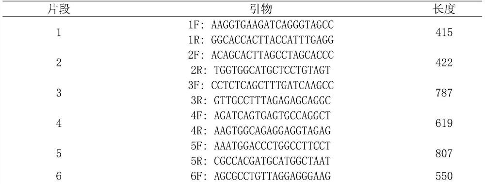Detection method for common gene mutations in 17α-hydroxylase deficiency applicable to the Chinese population