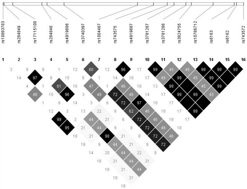 Detection method for common gene mutations in 17α-hydroxylase deficiency applicable to the Chinese population
