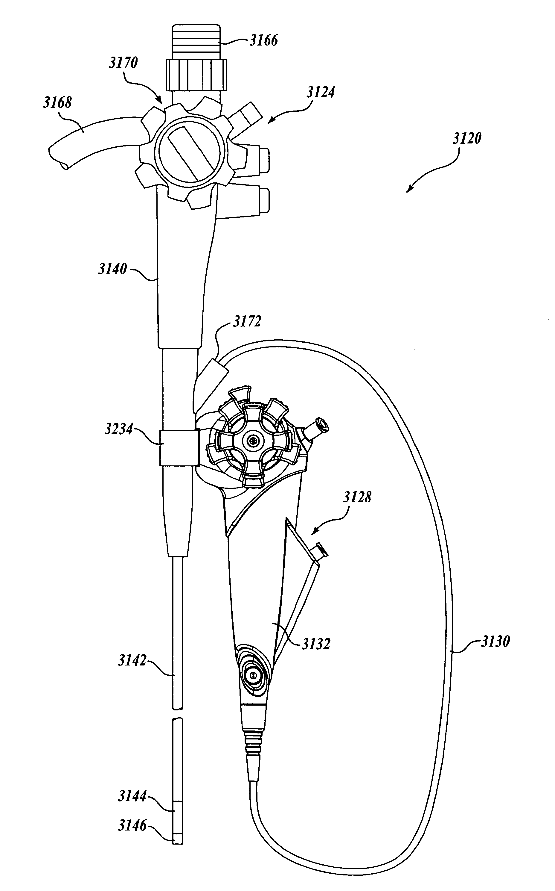 Medical visualization system with endoscope and mounted catheter